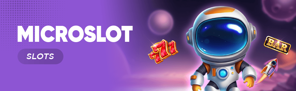 MicroSlot provider
