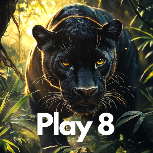 Play8 provider